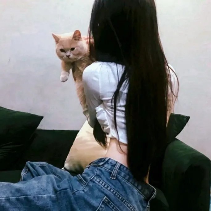反击第三季